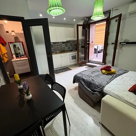 Selena House Apartment *